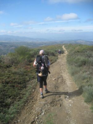 Camino de santiago, mentoring for success and resilience, book a mentor