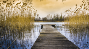 voices and silence article, Dr Jon Drane,